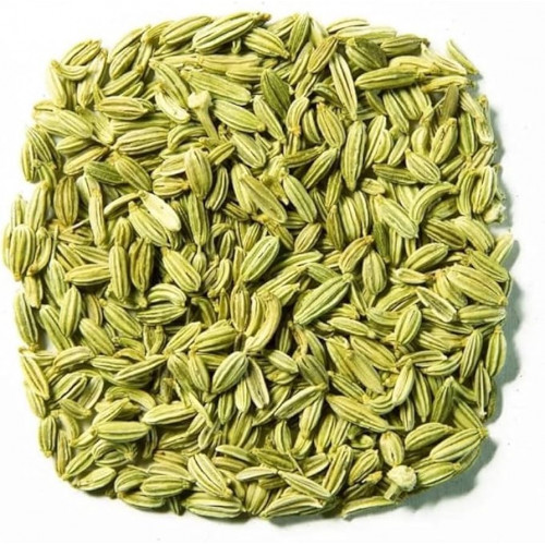 شمر مجفف مزرعة بيت الاستنبات العضوية شمر مجفف مزرعة بيت الاستنبات العضوية