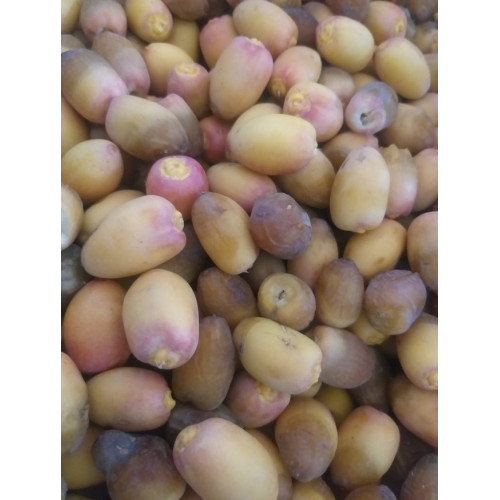 تمر بريمي الوطنية 2كجم تمر بريمي الوطنية 2كجم