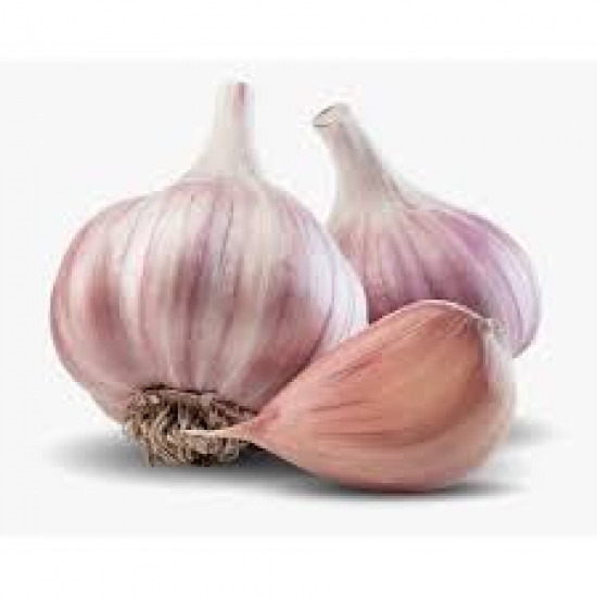 ثوم عضوي طبق مزرعة الياسمين العضوية ثوم عضوي طبق مزرعة الياسمين العضوية