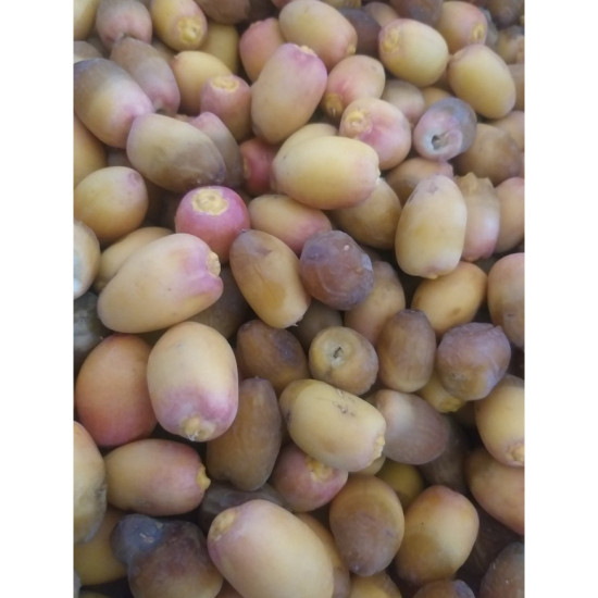 تمر بريمي الوطنية 2 كجم تمر بريمي الوطنية 2 كجم