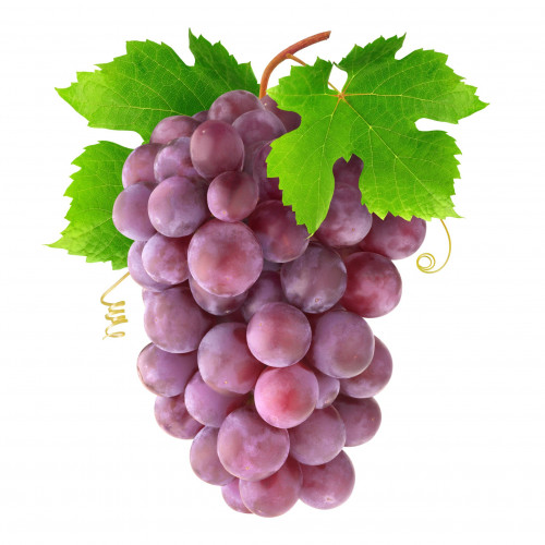 عنب احمر  فلين منتج نظيف مفحوص تعاونية الباطين