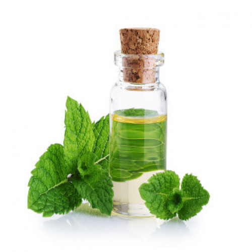 زيت النعناع العضوي 10مل مزرعة بيت الاستنبات العضوية