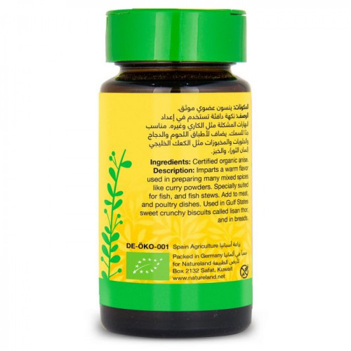 يانسون حب 35جم عضوي ارض الطبيعة يانسون حب 35جم عضوي ارض الطبيعة