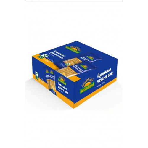 سمسمية بالرتقال أرض الطبيعة32حبه * 22.5 جم ( كرتون ) سمسمية بالرتقال أرض الطبيعة32حبه * 22.5 جم ( كرتون )