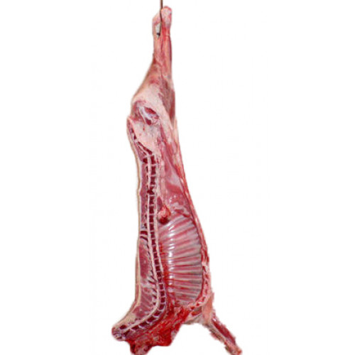 نصف ذبيحة نعيمي بلدي طازجة من 8-10كجم نصف ذبيحة نعيمي بلدي طازجة من 8-10كجم