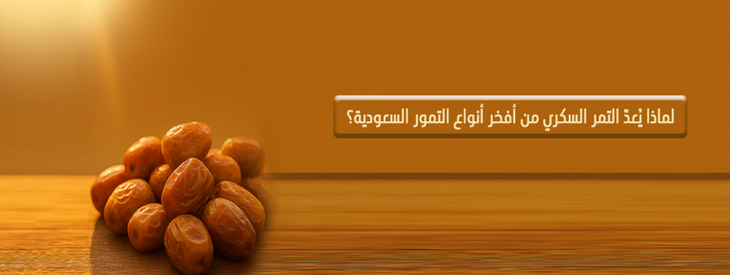 التمر السكري السعودي | سرّ فخامته ولماذا يُعدّ من أفخر أنواع التمور التمر السكري السعودي | سرّ فخامته ولماذا يُعدّ من أفخر أنواع التمور