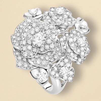 قسم تجريبي 1